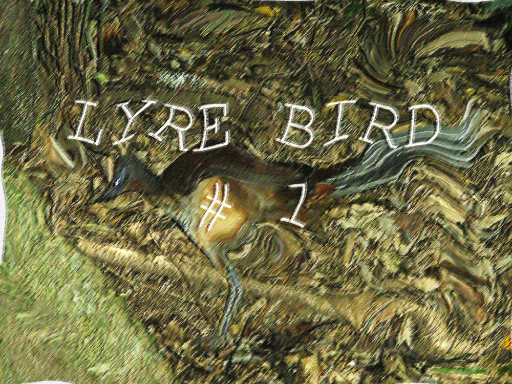 Lyre Bird #1